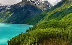 1754271525518.webp 1754271525518.webp