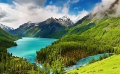 1754271592667.webp 1754271592667.webp